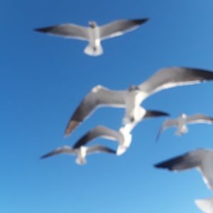 Meet your Posher, Jane